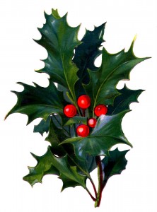 happy christmas
